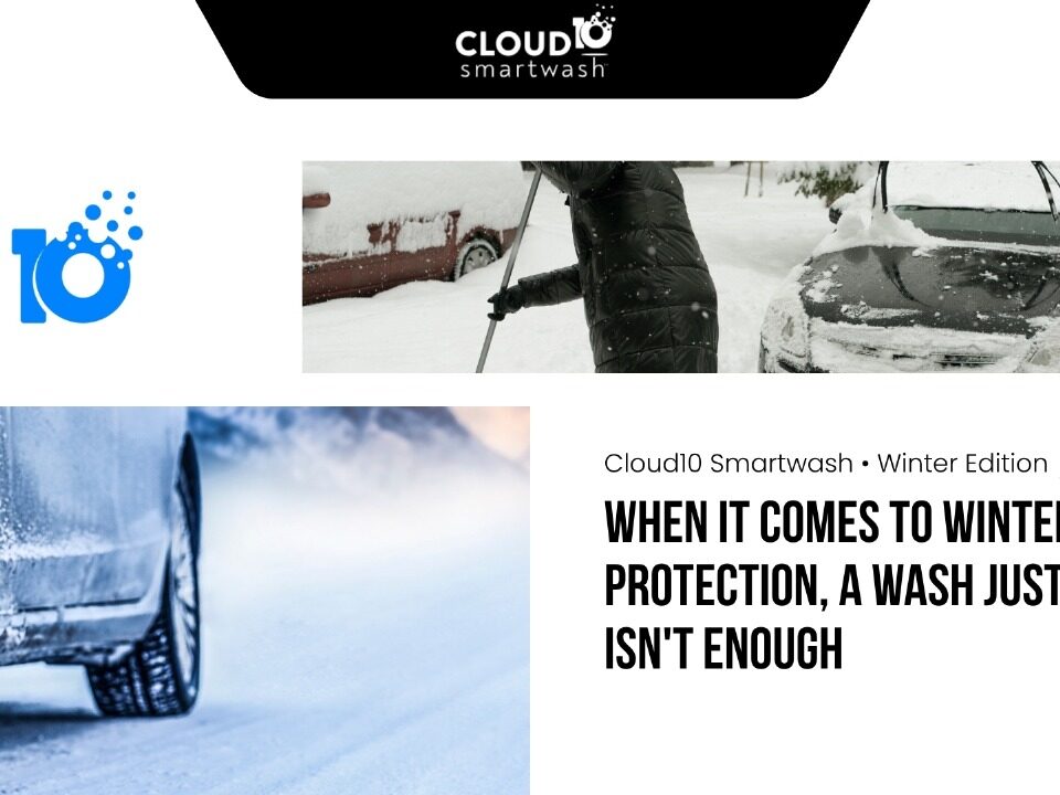 Car Winter Protection