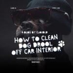 How to Clean Dog Drool Off Car Interior