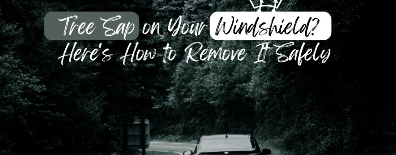 Tree Sap on Your Windshield