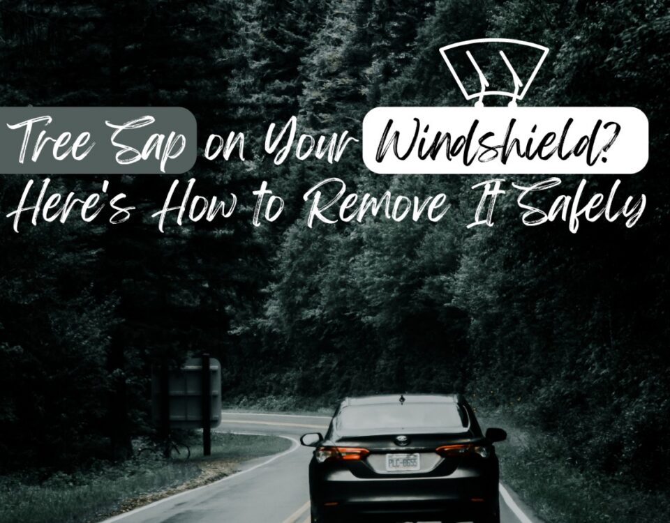 Tree Sap on Your Windshield